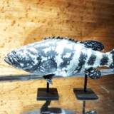 IMG 20170204 161148