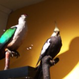 IMG 20170204 161416