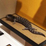 IMG 20170204 161431
